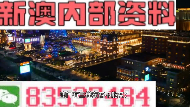 新澳2024年资料概览